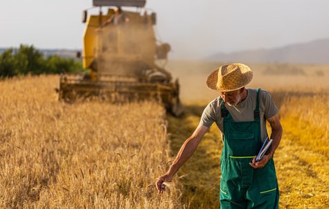 Селско стопанство