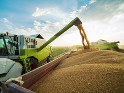 Commodity Risk Management