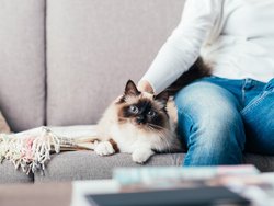 Property Protection Insurance