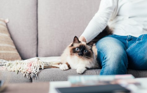 Property Protection Insurance