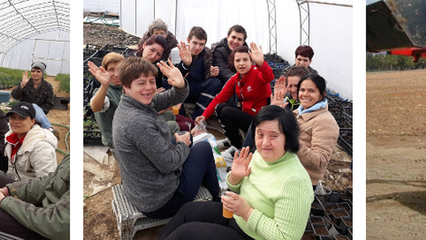 Къде се крие "Чудната градина" или хронологията на една истинска история