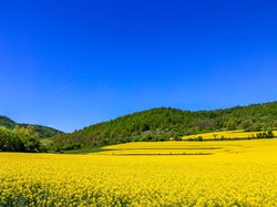Guarantee scheme - National Guarantee fund - Rural Development Programme
