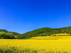 Guarantee scheme - National Guarantee fund - Rural Development Programme