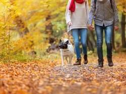 Застраховка „Живот“ - Unit Linked