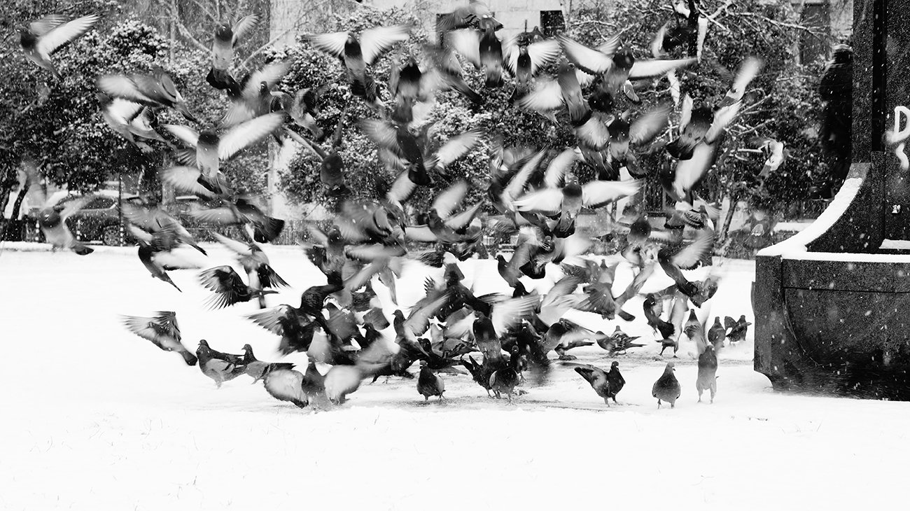 DEA_ATANASOVA_10G_01_2001 1.JPG