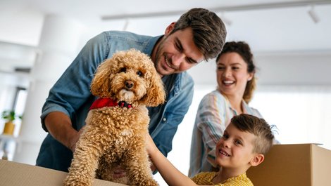 Какви са предимствата на ипотечния кредит с фиксирана лихва?