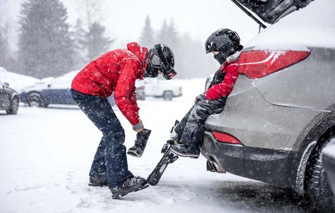 Get a vignette and participate for prizes!