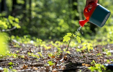Corporate Social Responsibility