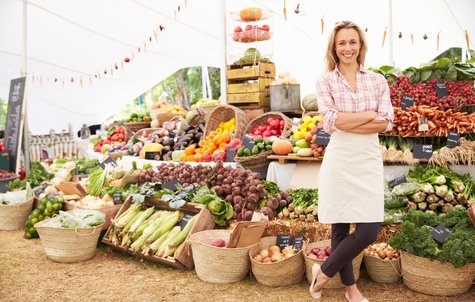 Standard working capital credit