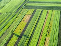 Agriculture Finance