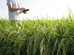 Loan for Purchase of Agricultural Land