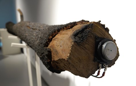 Пепел и памет