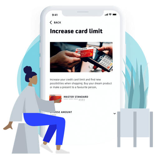 Increase the credit card limit