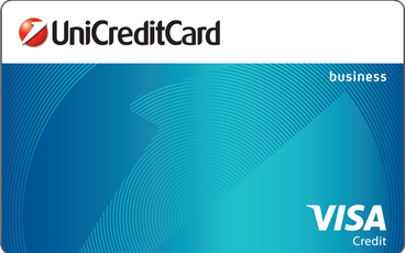 Credit Card VISA Business Credit