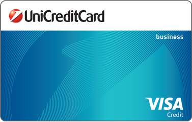 Credit Card VISA Business Credit