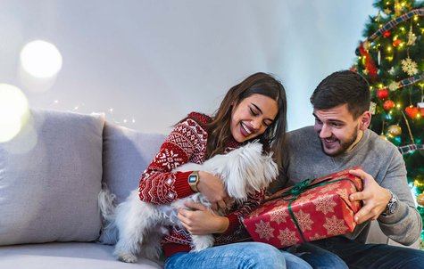 Consumer Loan